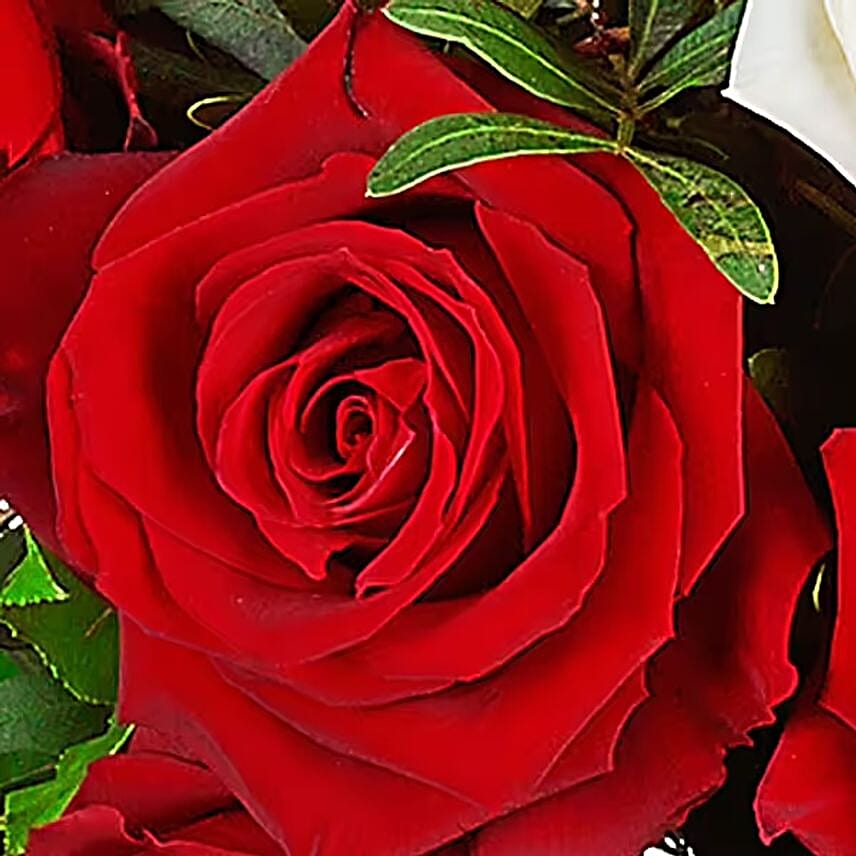 Rose Bouquet Just for you with vase
