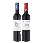 2 Bottle of Fantastic Portugese Wine
