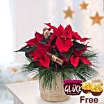 Red Poinsettia With Ferrero Rocher And Jam