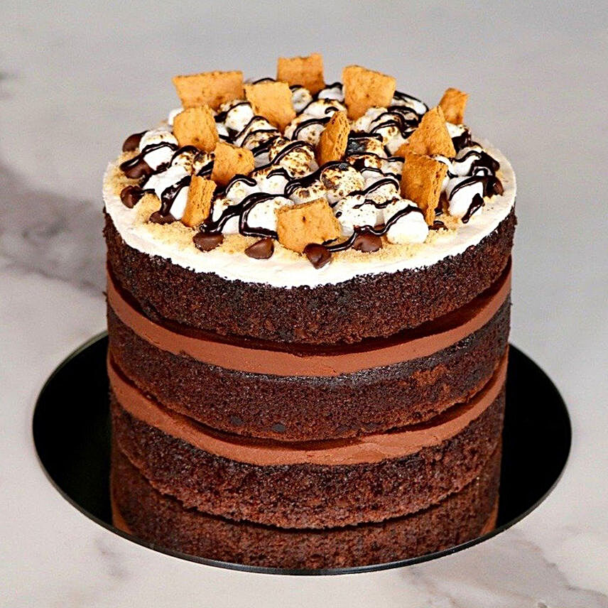 Smores Chocolate Cake