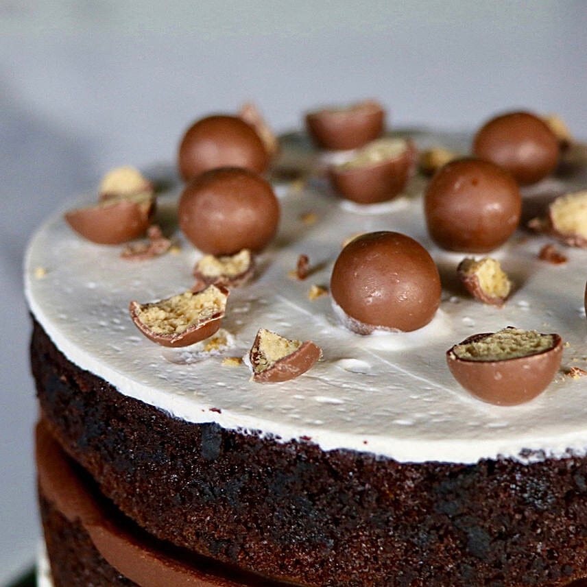 Chocolate Maltesers Cake