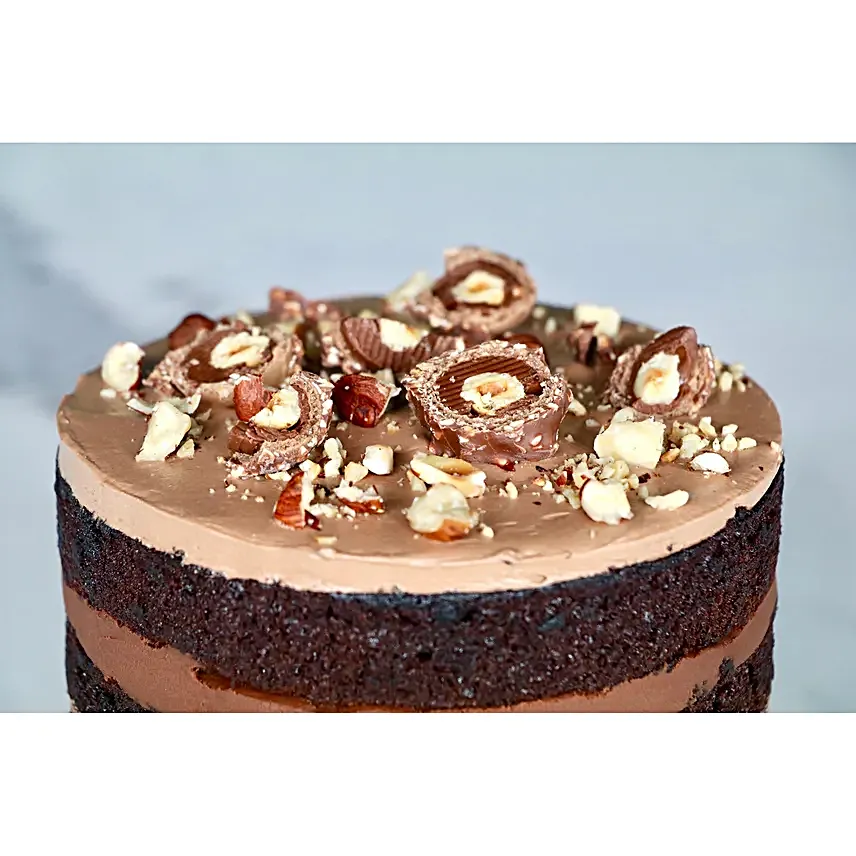 Hazelnut Chocolate Cake