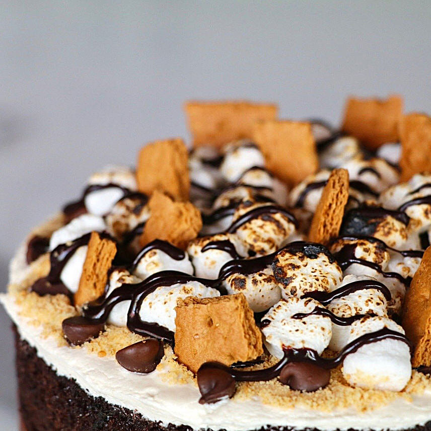 Smores Chocolate Cake