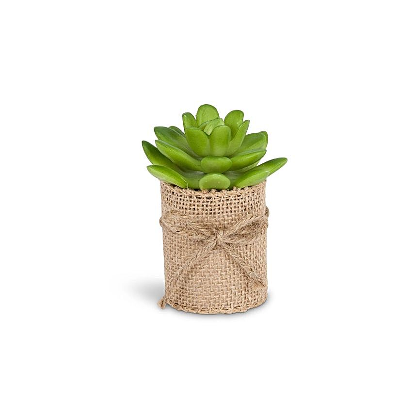 Mini Succulent Plant In Jute Pot