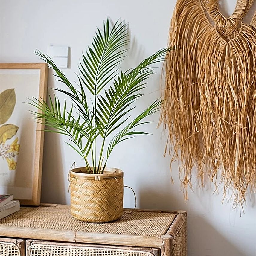 Palm Plant Small Hand Woven Basket:Plants in Indonesia