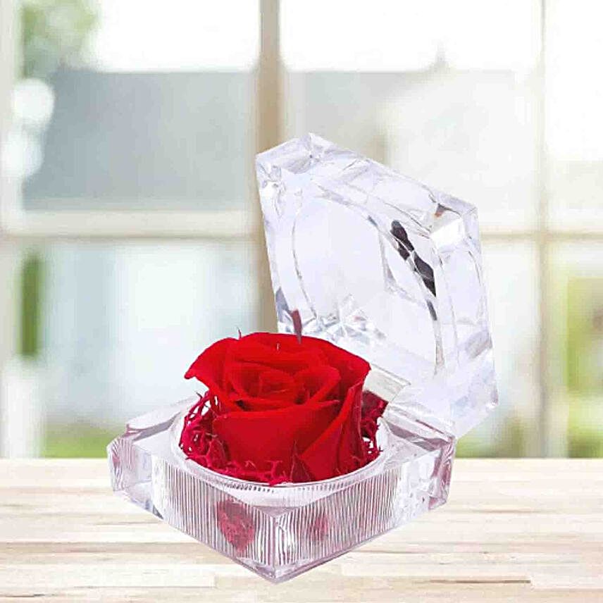 Preserved Red Rose Crystal Box:Send Flowers to Indonesia