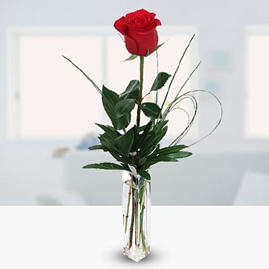 Romantic Red Rose Vase