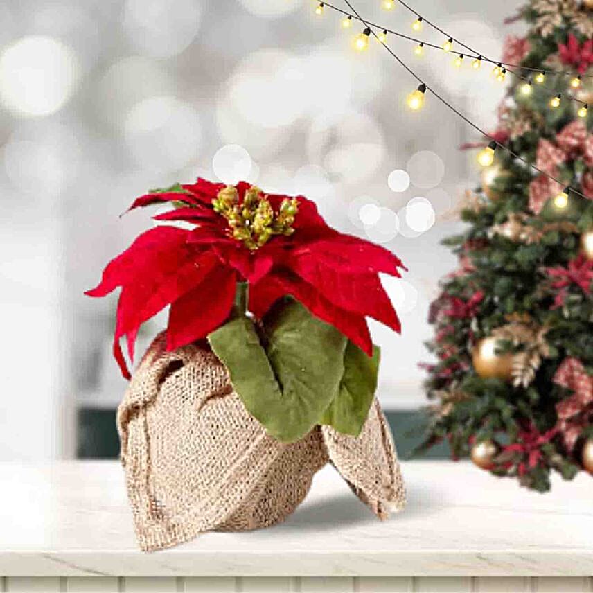 Poinsettia Red Plant Pot