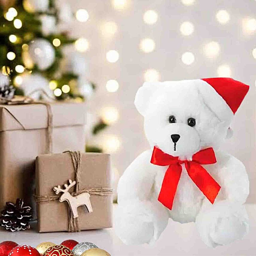 Teddy Bear And Christmas Cap Combo