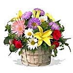 Mixed flower basket INDO
