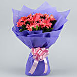 10 Passionate Pink Gerberas Bouquet