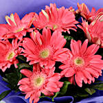 10 Passionate Pink Gerberas Bouquet