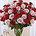 50 Vivid Red And Pink Roses In Vase