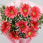 Pink Marvel Gerbera Blossoms