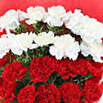 Love Carnations Bunch
