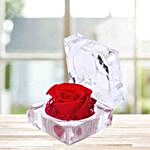 Preserved Red Rose Crystal Box
