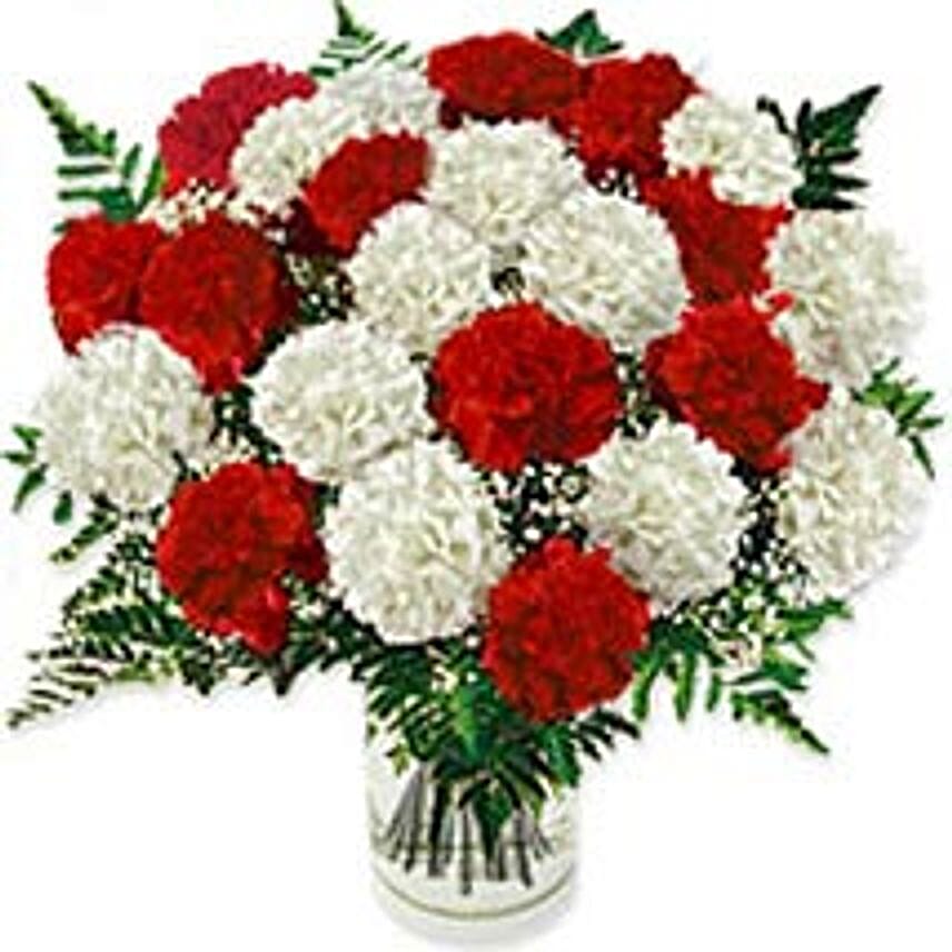 Carnation Fascinationire-ire