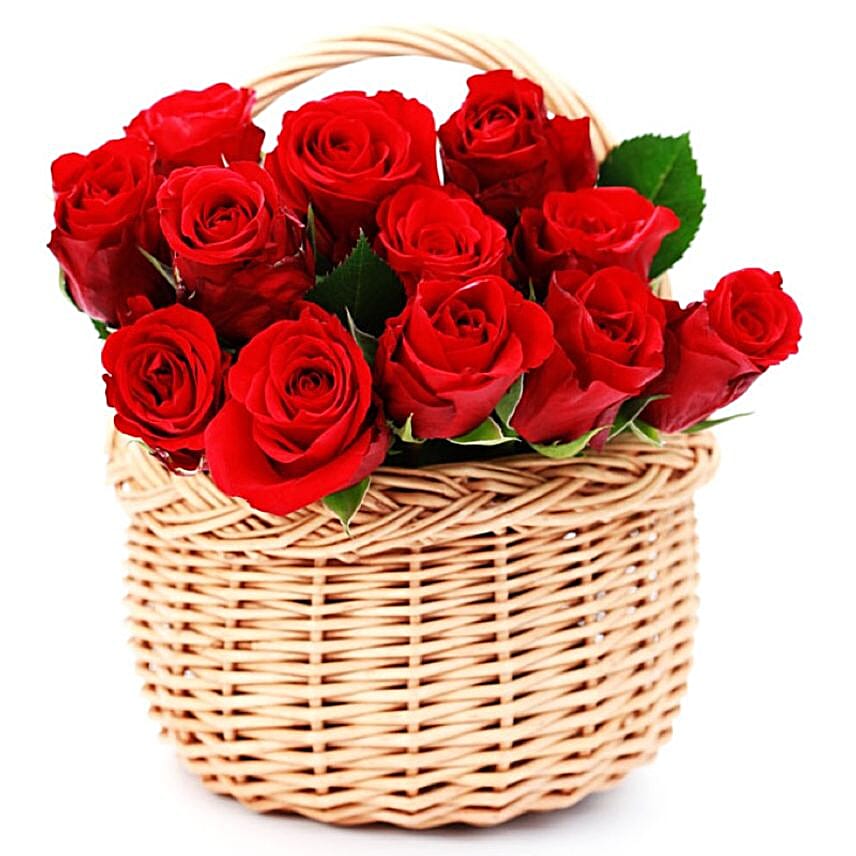Scarlet Rose Splendor