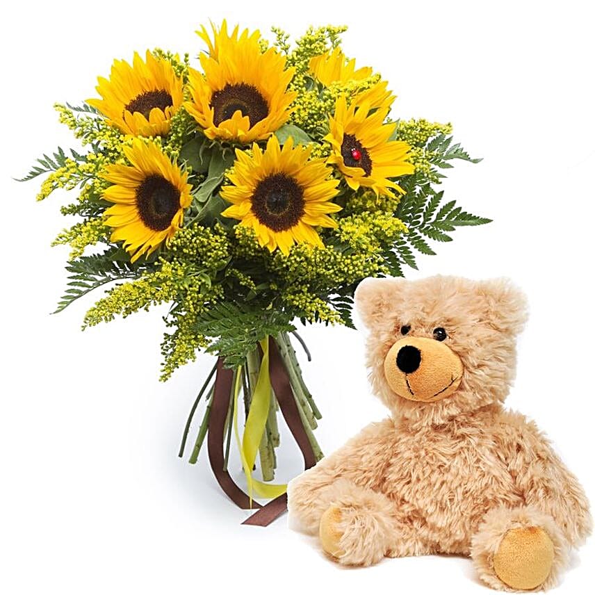 Sunshine Snuggle Surprise