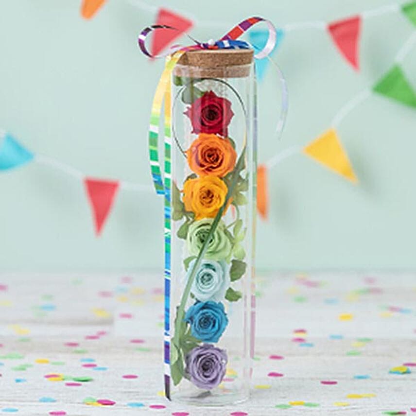 Preserved Flower Rainbow Smile