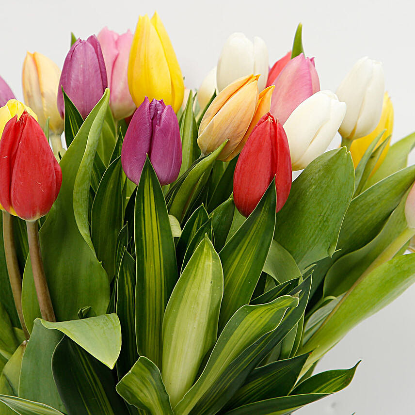 Lovely Tulip Bunch