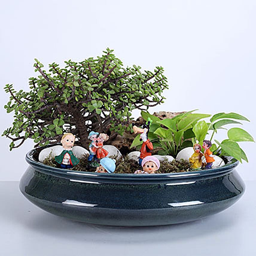 dish-garden