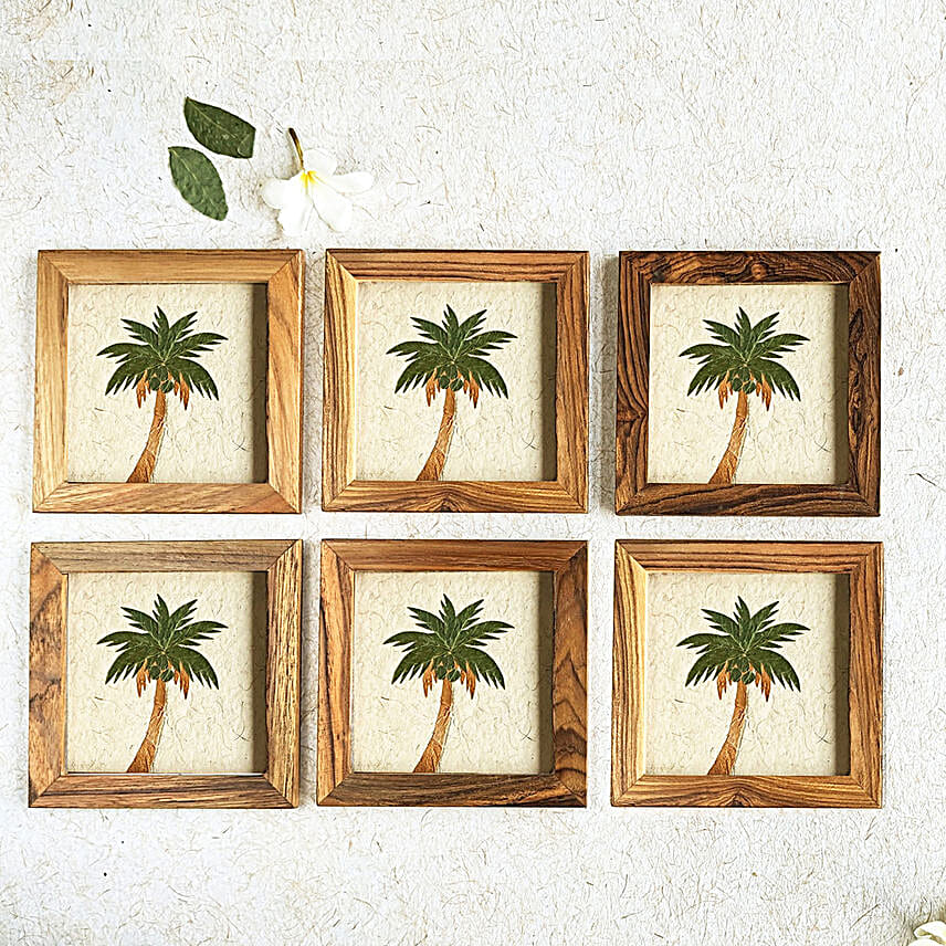 Eco Fusion Coasters Set