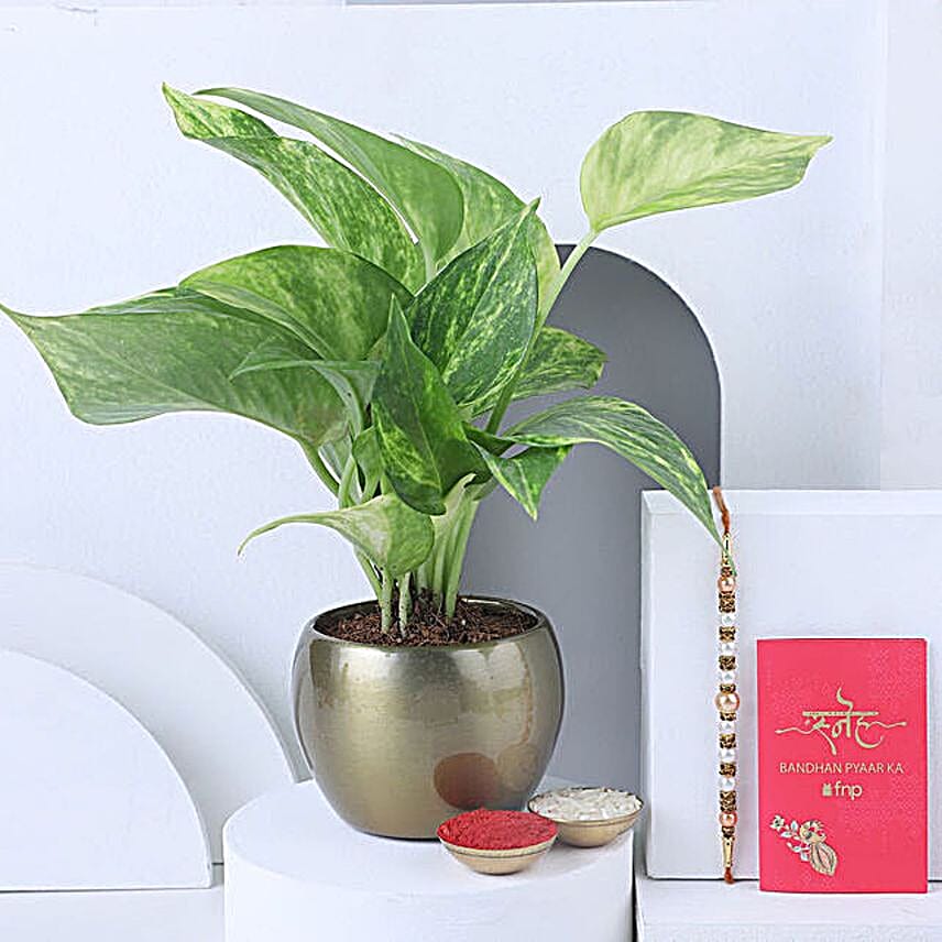 Sneh Beads Rakhi and Money Plant