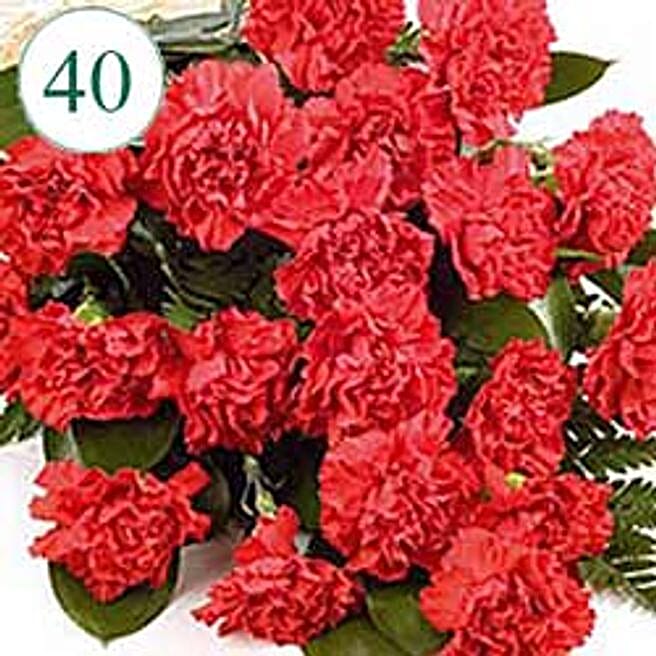 Buy/Send 40 Red Carnations Online FNP