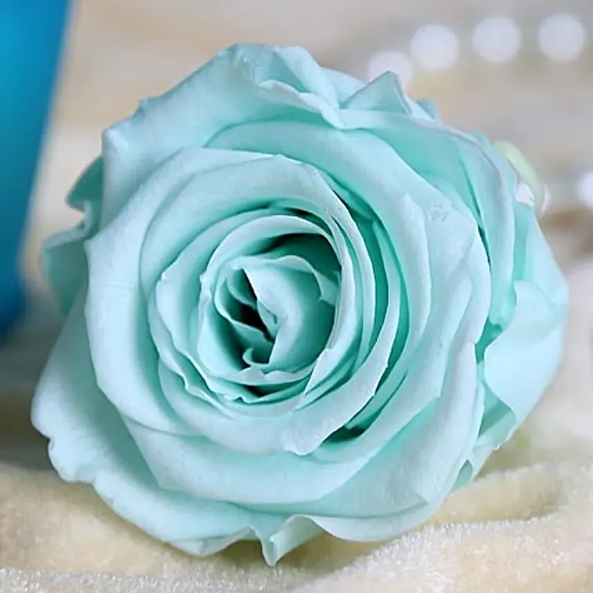 Buy Send Forever Sky Blue Rose Online FNP