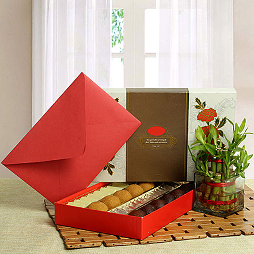 Lucky bamboo with sweets and a greeting card:Sweets to Bhopal