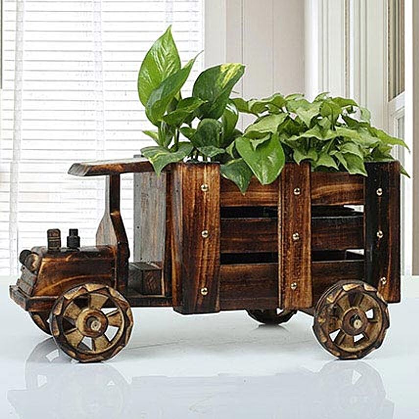 Wooden Truck Full of Plants