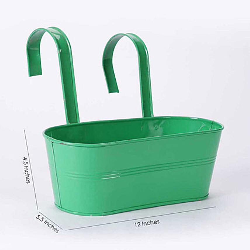 Buy/Send Green Oval Railing Planter Online Ferns N Petals