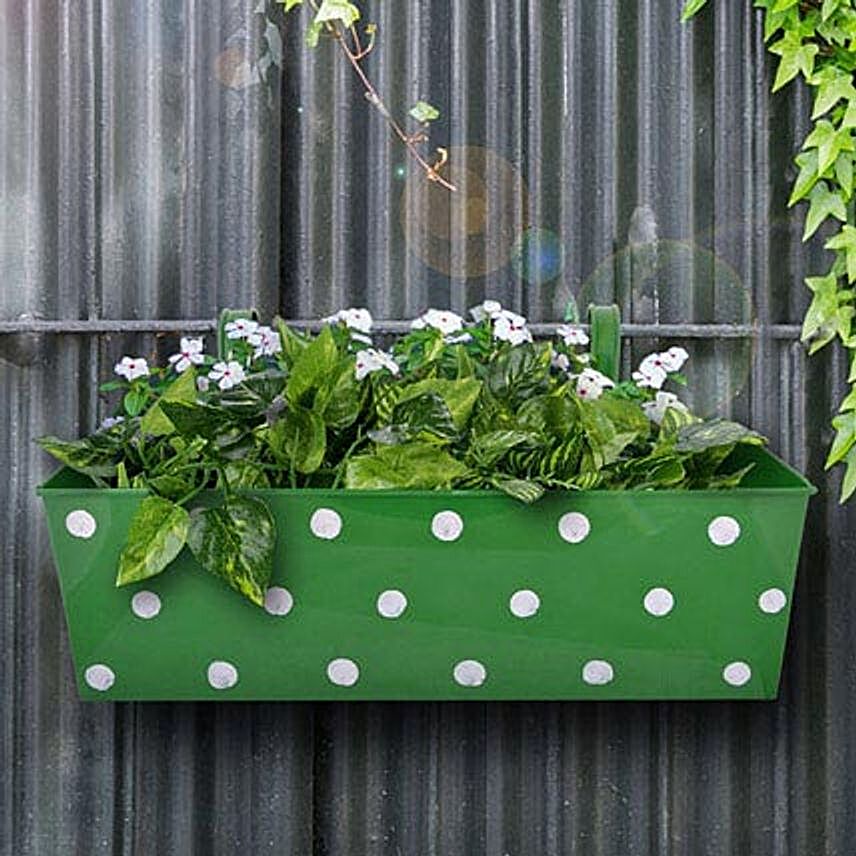 Green Polka Dot Rectangle Planter