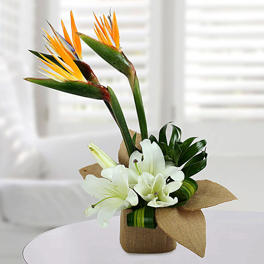 Orange Bird Of Paradise & White Lilies Vase
