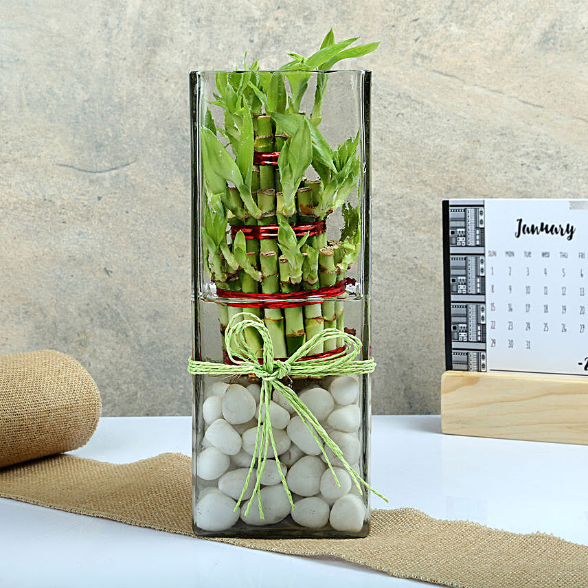 Three layer bamboo put in a large round glass vase with white pebbles