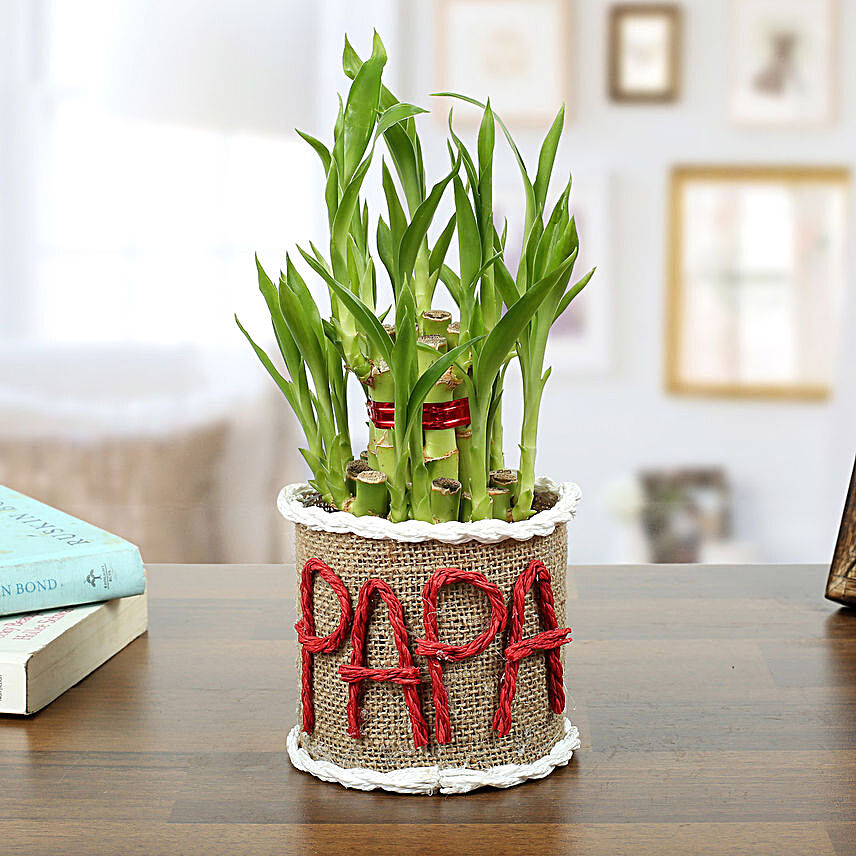 Personalized Lucky Bamboo for Father:Send Mother's Day Plants