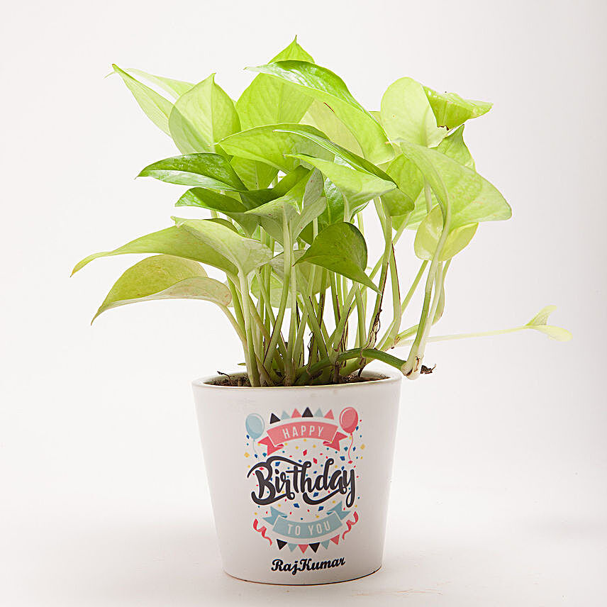 How to add a Personalised Touch to Plants?