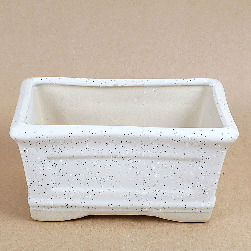 White Mosaic Pattern Rectangular Ceramic Bonsai Planter Tray