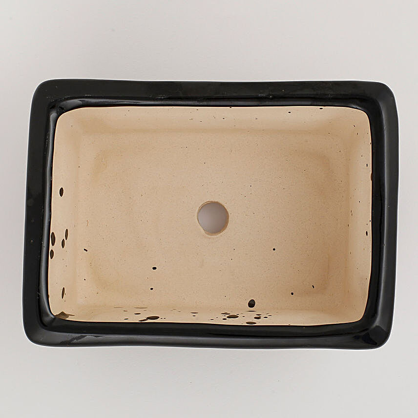 Ceramic Rectangular Bonsai Tray Black
