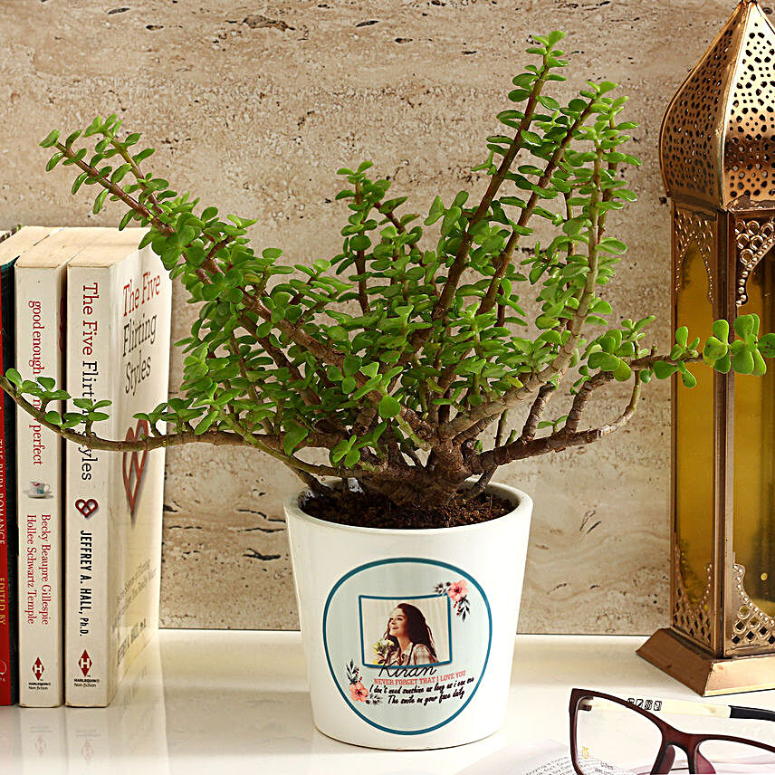 Jade Plant in White Personalised Ceramic Pot:Buy Personalised Planter