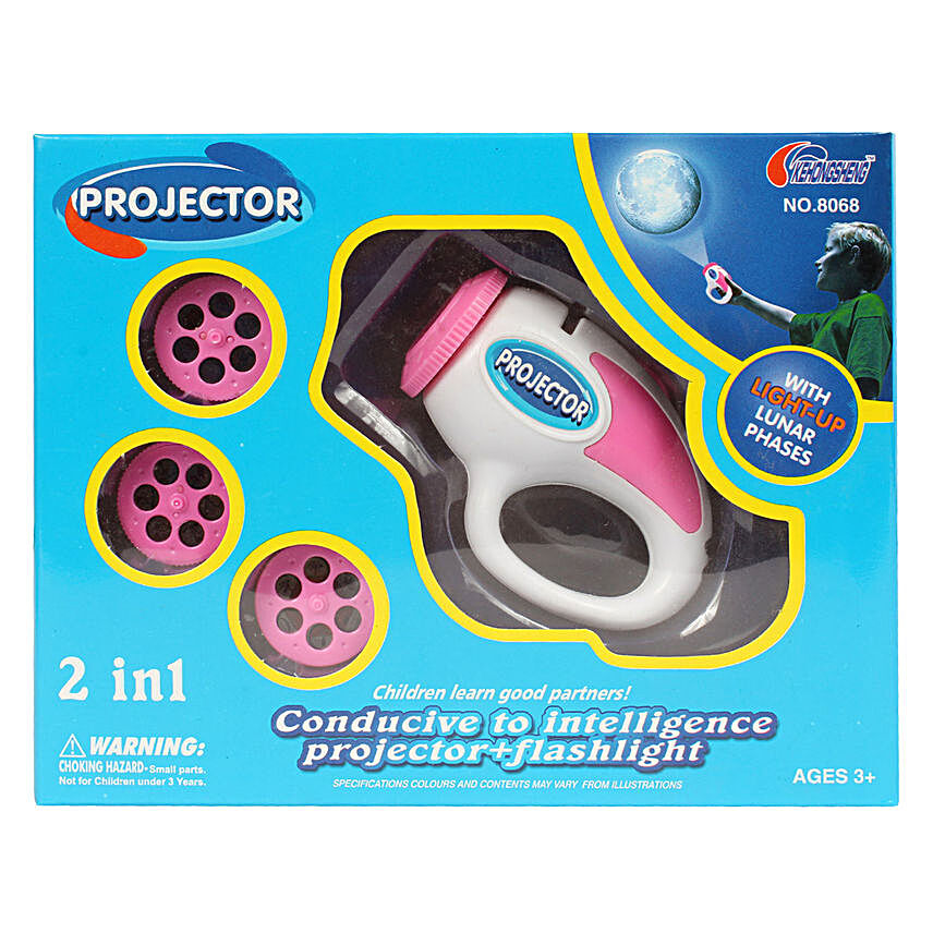 2 In 1 Electric Projection Slides
