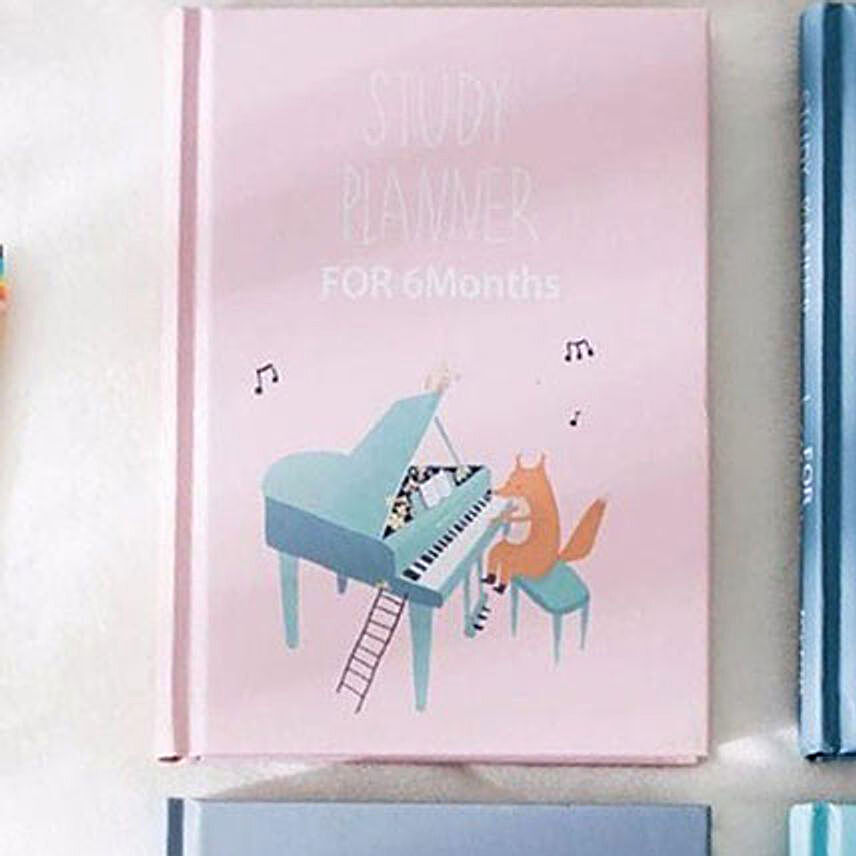 Study Planner for 6 Months Pink