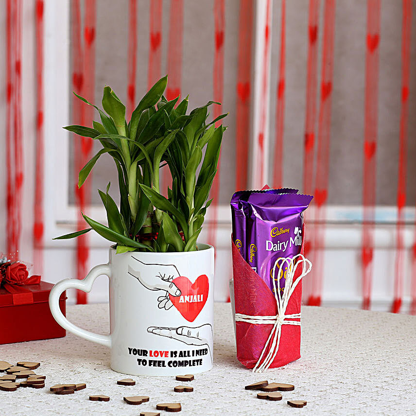 2 Layer Lucky Bamboo Plant with Dairy Milk Silk Chocolates