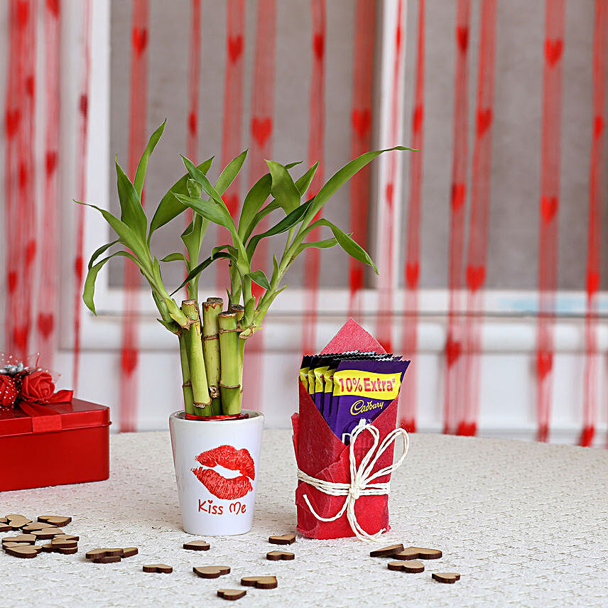 Kiss Day Special Lucky Bamboo Plant with Dairy Milk Combo