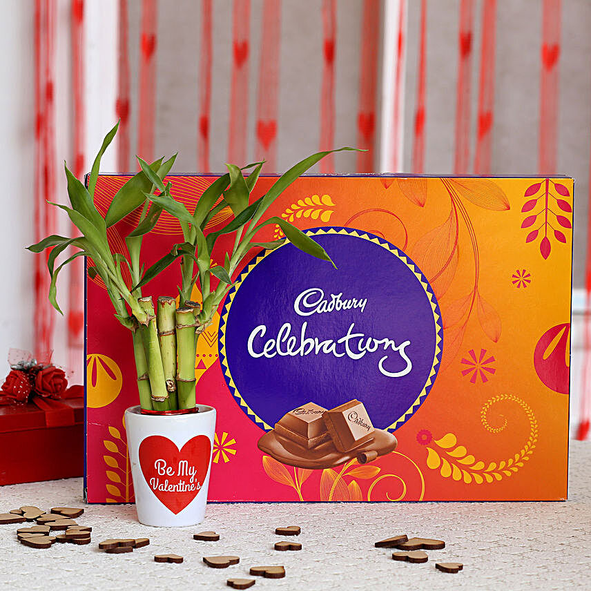 Lucky Bamboo Plant in Valentines Pot & Cadbury Celebrations