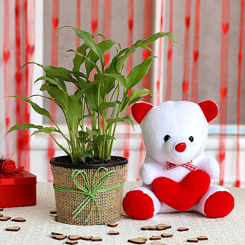 Peace Lily Plant & Hearty Teddy Bear Combo