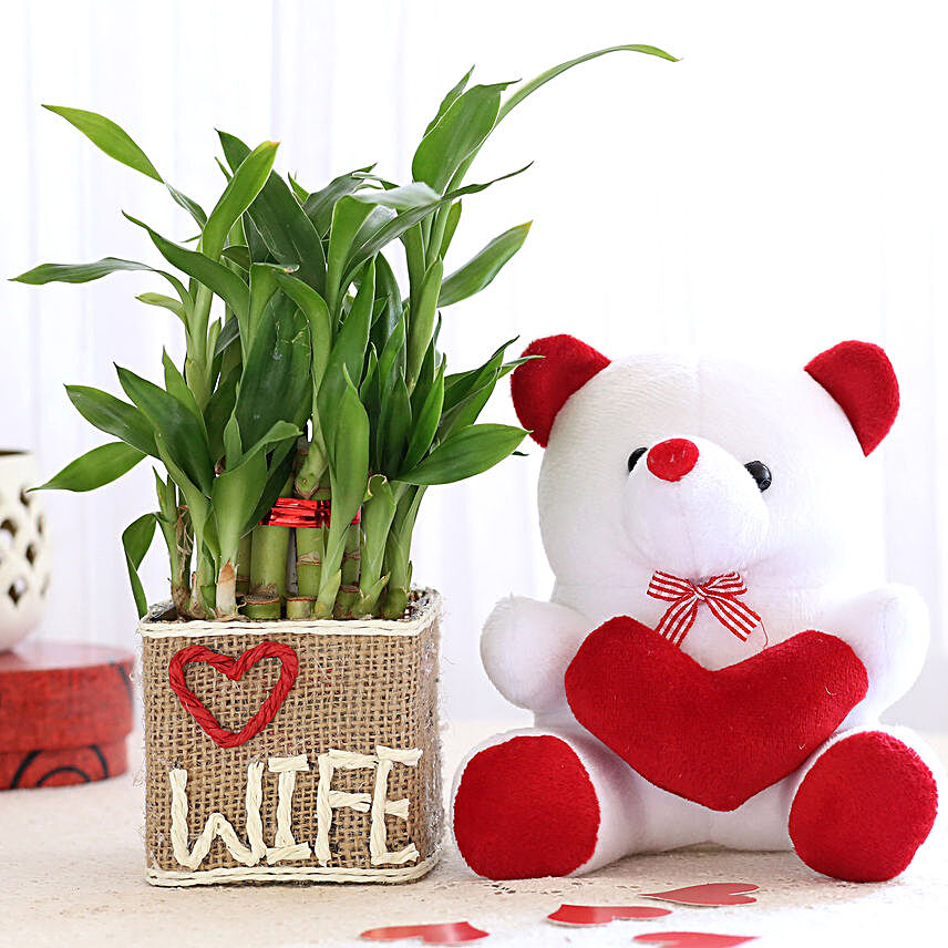 2 Layer Lucky Bamboo For Wife With Teddy Bear