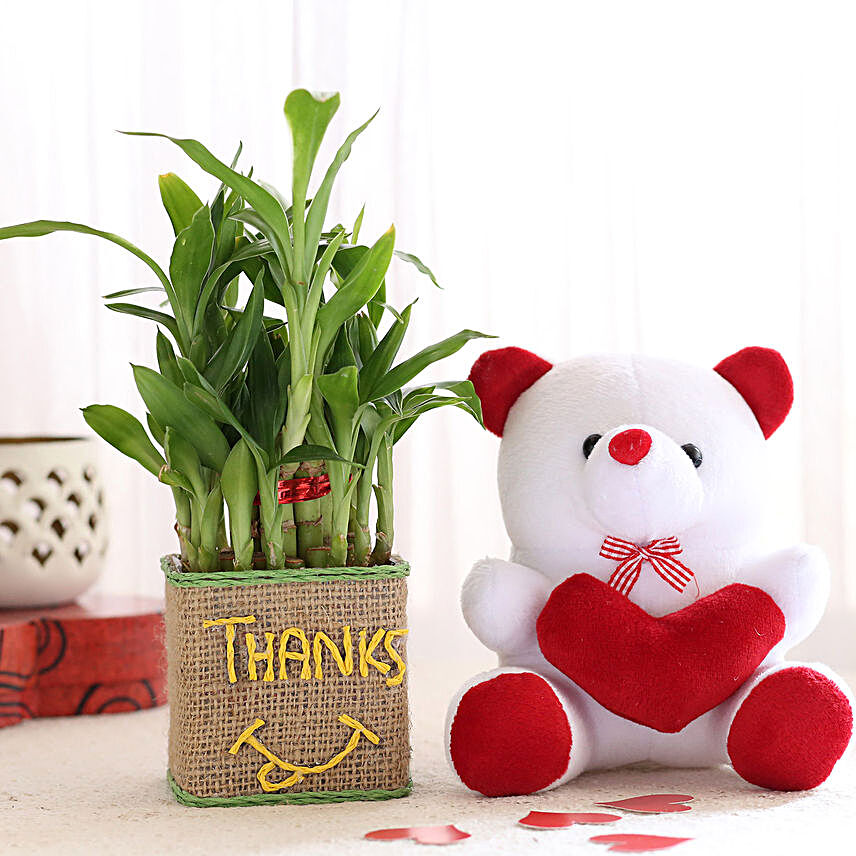 2 Layer Lucky Bamboo In Glass Vase With Teddy Bear