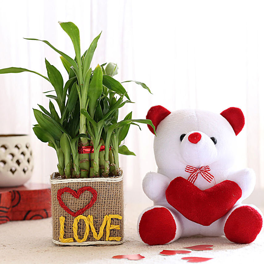 2 Layer Lucky Bamboo In Love Vase With Teddy Bear